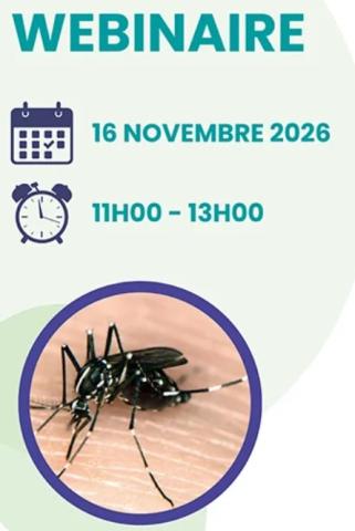 Visuel moustique tigre